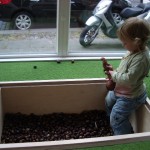 Kastanienbecken-150×150